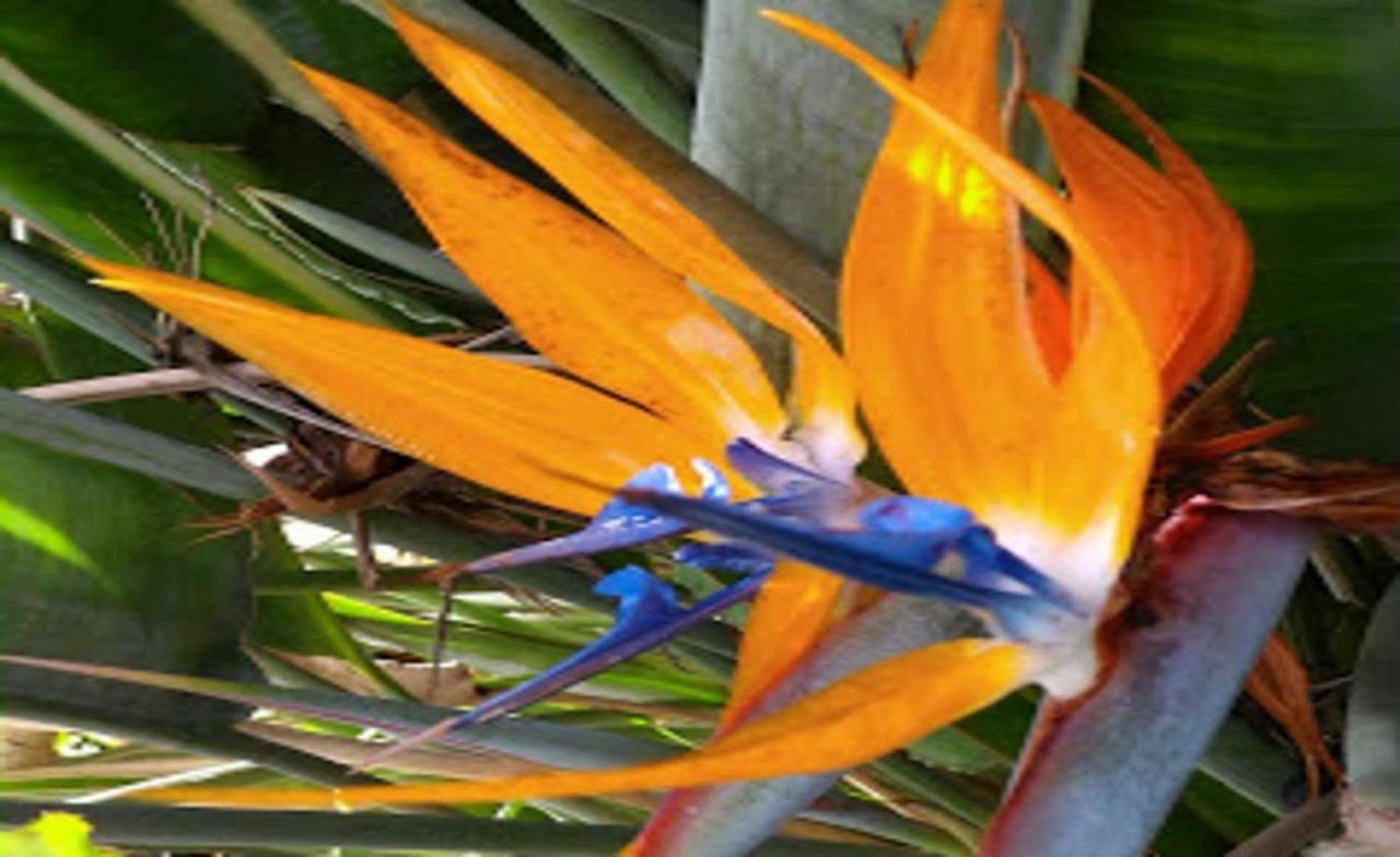 Hacienda Sol Trapiche Villa Trapiche  Eksteriør billede